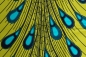 Preview: Afrika Stoff - Waxprint - Pfauenfeder Design