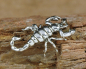 Preview: Beweglicher Skorpion Anhänger aus Silber 925