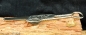 Preview: Tuareg Buch Lesezeichen mit Ebenholz - Kunst