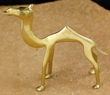 Tuareg Kamel aus Bronze - Gelbguss