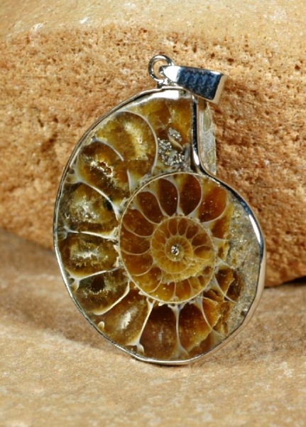 Anhaenger Ammonit