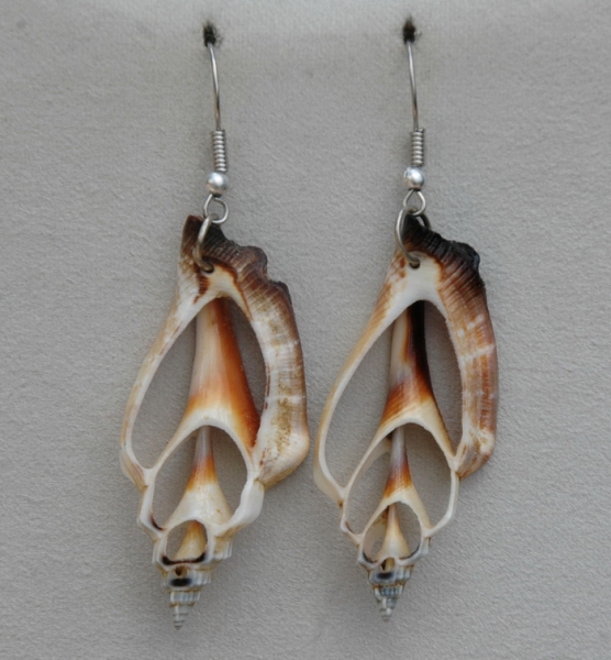 Dekorative Ohrringe / Ohrhänger - Muschel Gehäuse