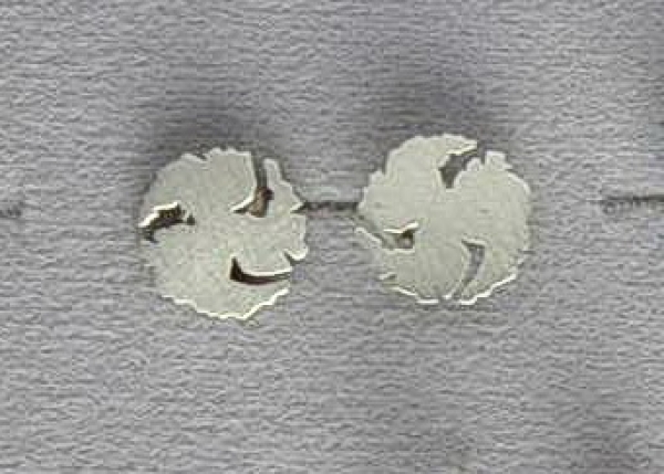 Ohrstecker in Silber 925 - Mattiertes Design